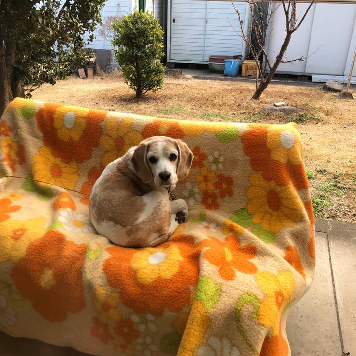 Feb3303d f5da 4121 aa17 f01799482cc2 1580176707881