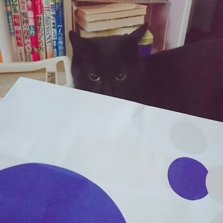 Feb343a7 e61d 4f5f 9af2 1a88c5206aba 1535107629614