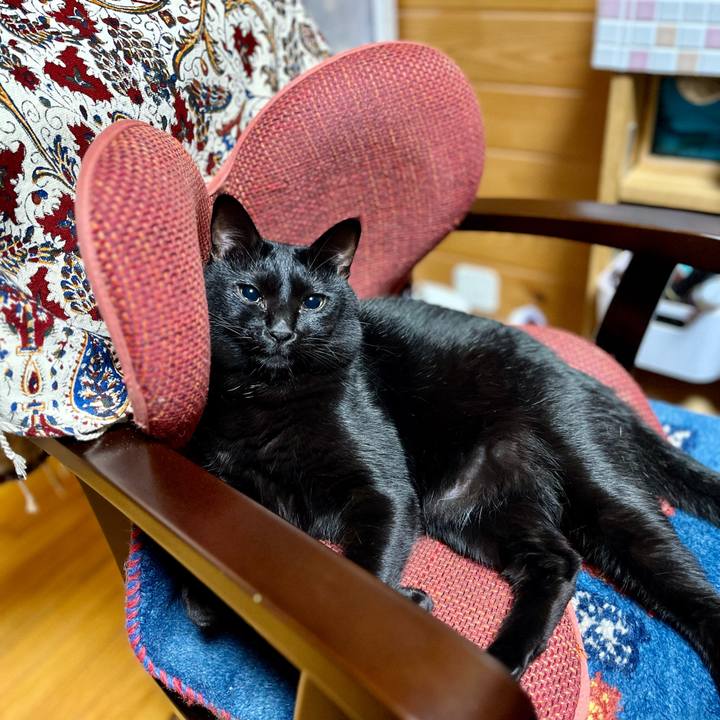 Feb39392 6c16 4a9d 9811 7630fb3e9cfa 1692704399734