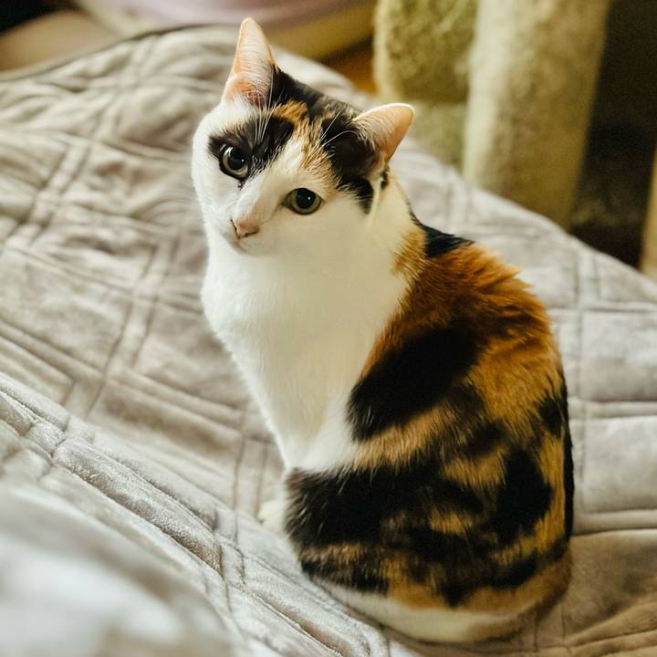 Feb395ea ff62 4fcc 8513 26d817c048a5 1704852880128