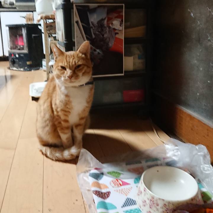 Feb3a345 a7cd 424b aeb6 23820fb38a59 1604000955483