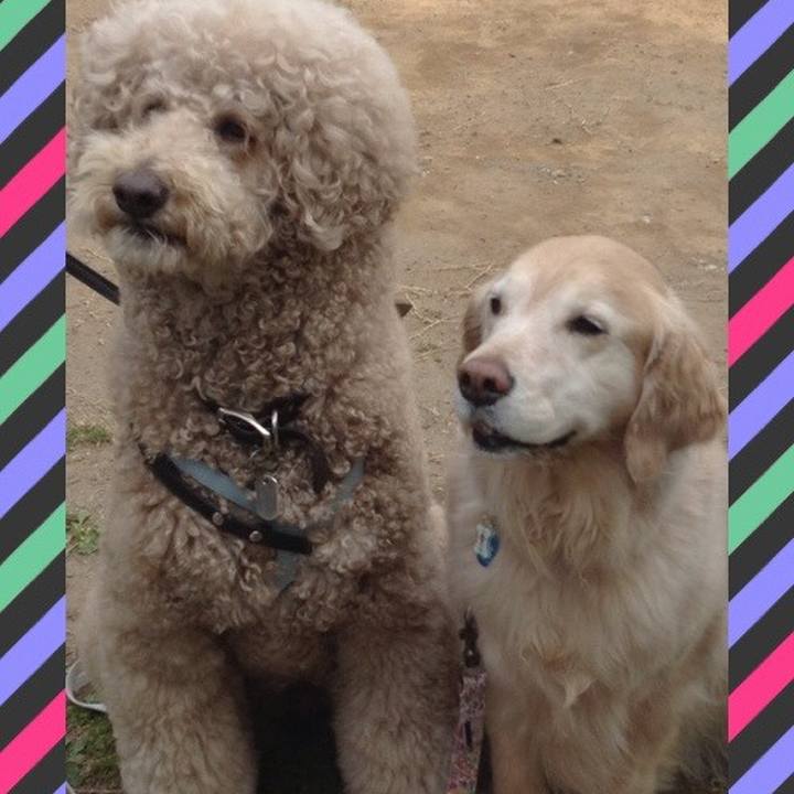 Feb3af57 850b 4a87 905d f46fc734015d 1520666062787