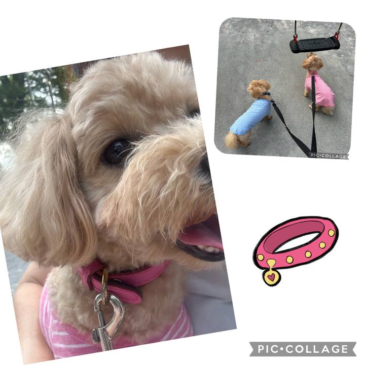 Feb3b6a8 7fcc 42ce 81f8 fe2e59520254 1691802073584