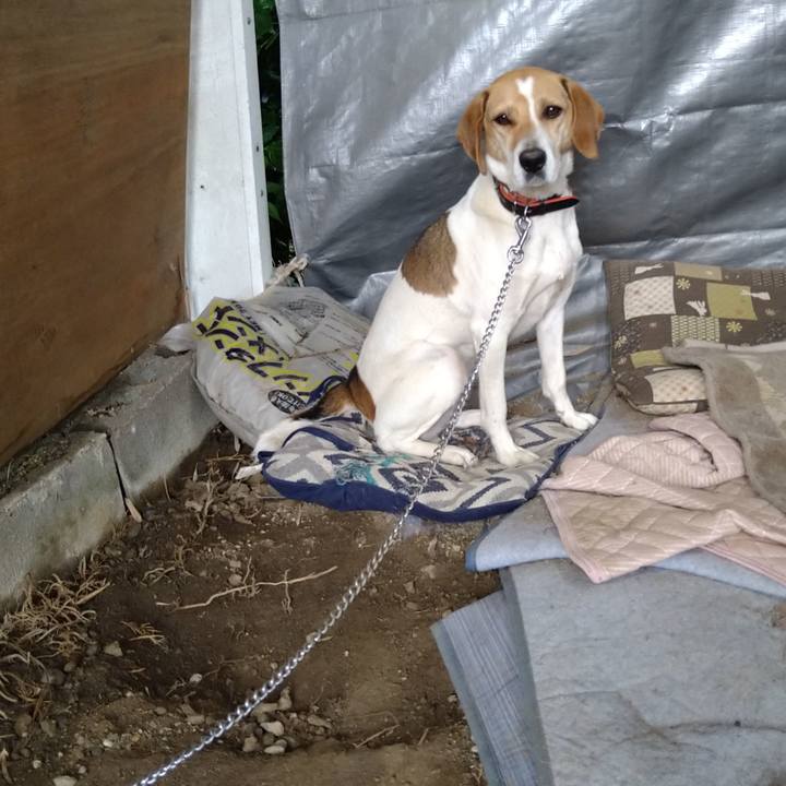 Feb3de28 fc32 4787 bf27 abf85596d22f 1622098739331