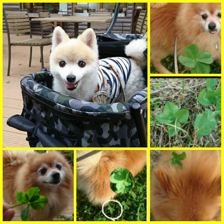 Feb3f07a 3cea 4f5a b4fc f4d61c1f72b1 1509782450190