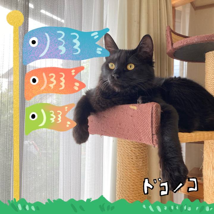 Feb40e6d 89f1 4a15 9c75 32139e602420 1714970797343