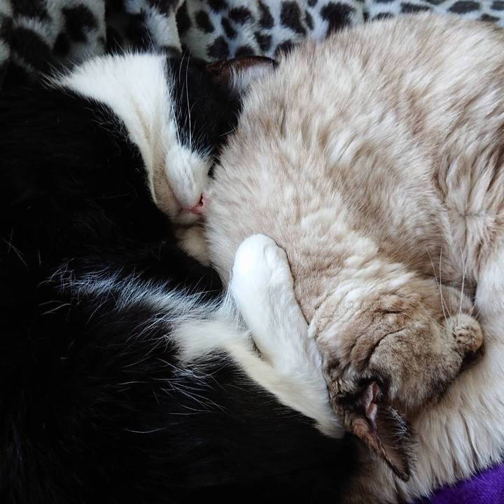 Feb412d5 21cd 40fe 9539 e05bc04c7c58 1578916945881