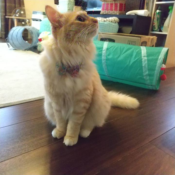 Feb4199d 283d 44ef 8ac2 3b605993087a 1631483184473