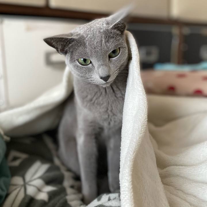 Feb42d8b 36de 45ef a934 4c9f66e8242f 1674600429620