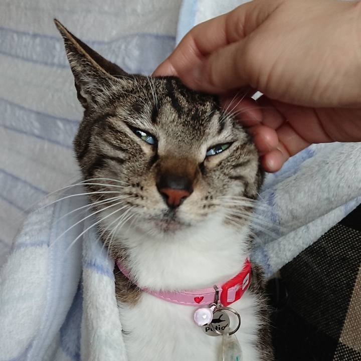 Feb43ae5 979a 45f7 94c4 3e3e53c42a1e 1652490118925