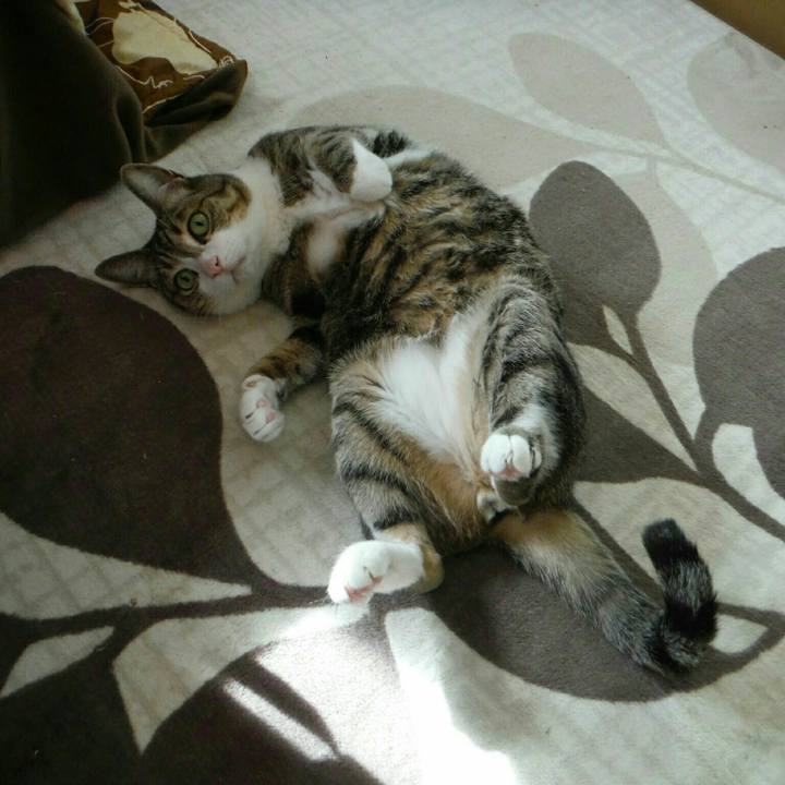 Feb45d8e 06ba 4467 a9e1 02234d4c1a1f 1554509682585