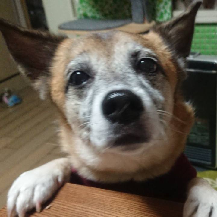 Feb46833 110e 4e45 a406 59c3d6b95d4f 1638842334843