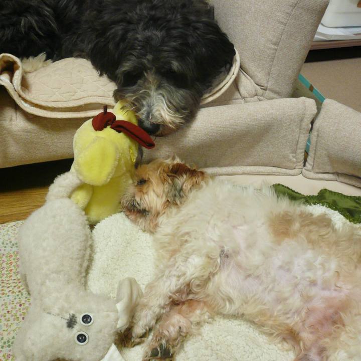 Feb4b816 e7c4 4ef8 8bad fa6dbaabb30e 1521763846039