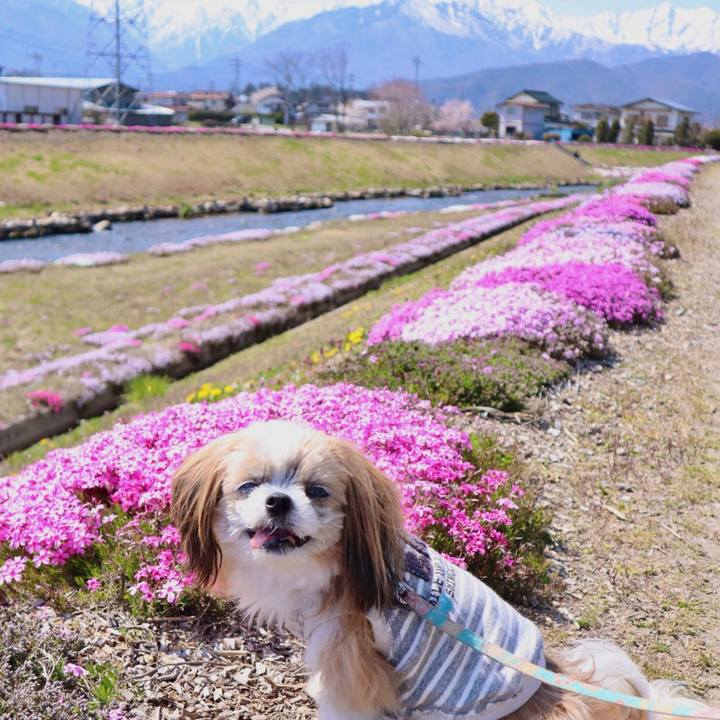 Feb4bacb 7d0a 4286 9ae0 0b2e71bc6738 1587887741790