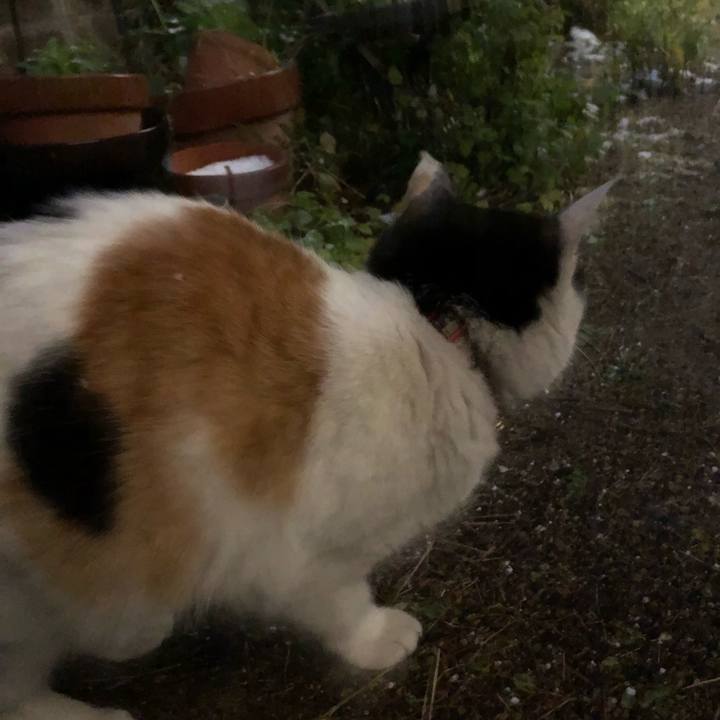 Feb4e2d7 e4dd 4165 99a7 d7366073a351 1609367131241