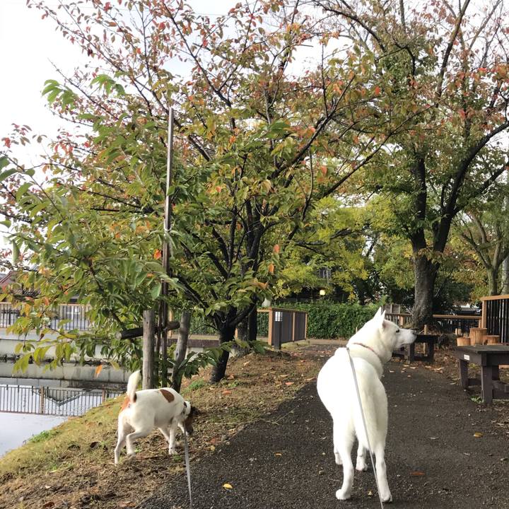 Feb4eb03 f864 44f4 8bf2 53dbd534a9c8 1540602134836