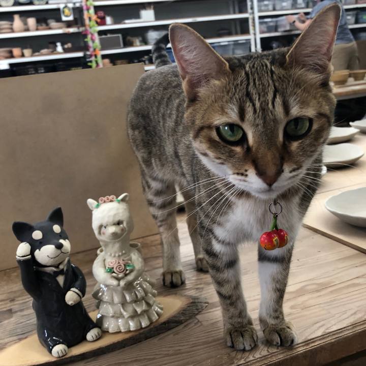 Feb54f11 fbdc 4b1b 868b fe2bd8b3650d 1655040380244