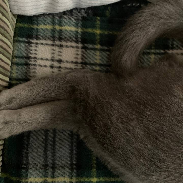 Feb570a1 59c3 4750 b189 1308b0b2ce10 1592859556313