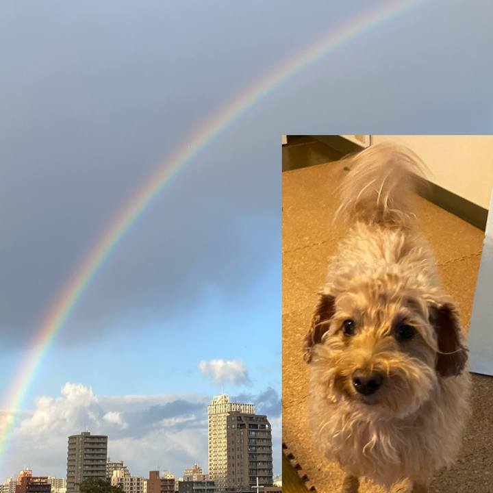 Feb571c1 deda 4307 ae84 91816830cd8c 1634972494047