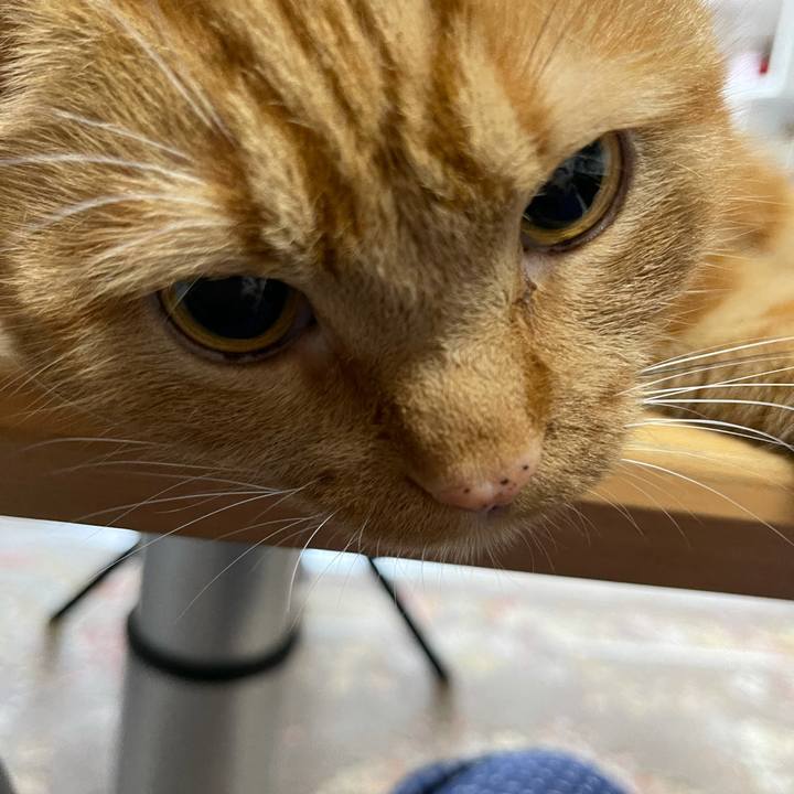 Feb57228 69a9 4479 9b7e f54c75042606 1623797642094