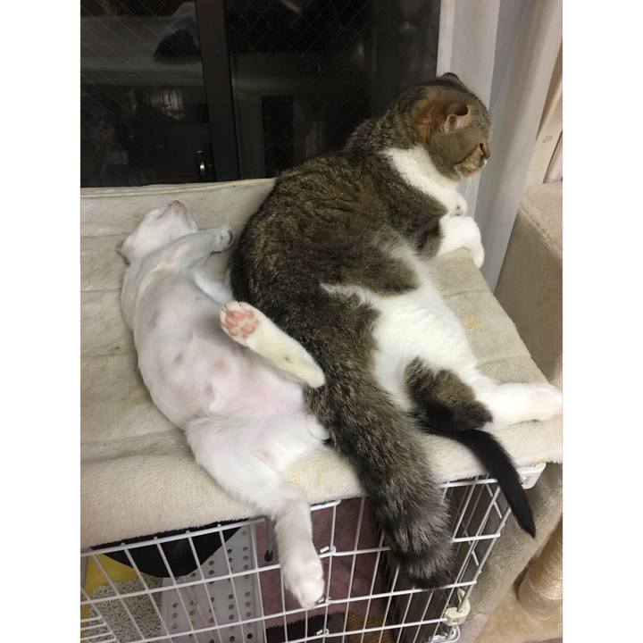 Feb5cf82 ec7b 4132 b569 a32128f741f0 1532538332839