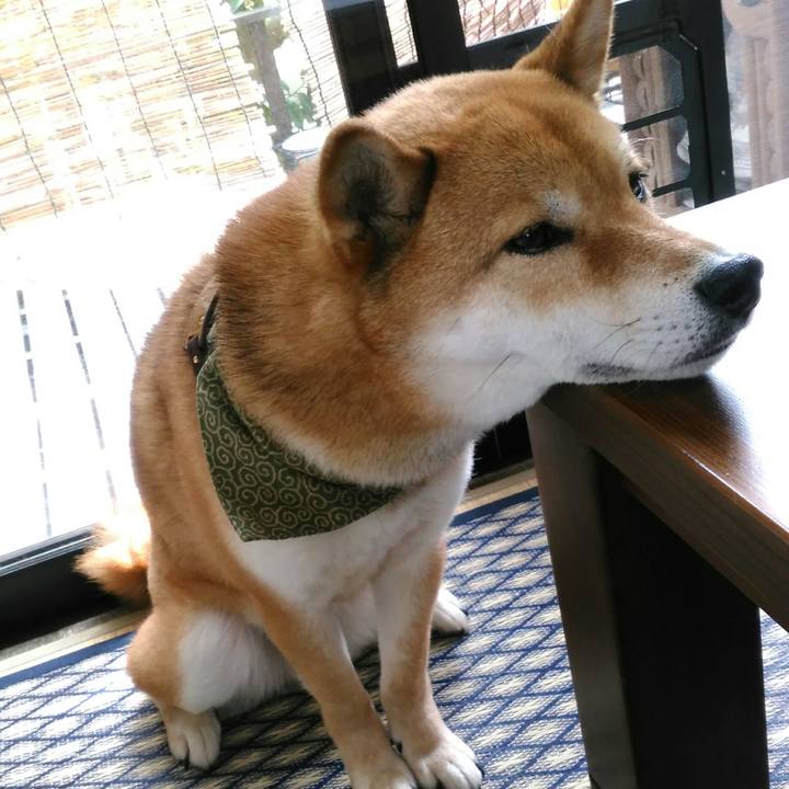 Feb5db13 b115 4a24 adf6 beb88698f502 1525665116041