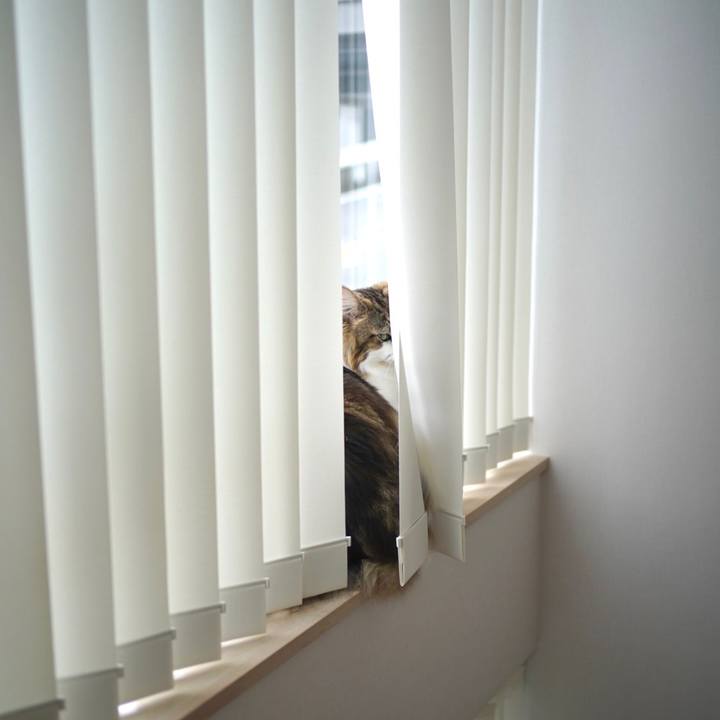 Feb5e1ae 1203 4c8d 89ec cd1c04aa4f1b 1695433530145