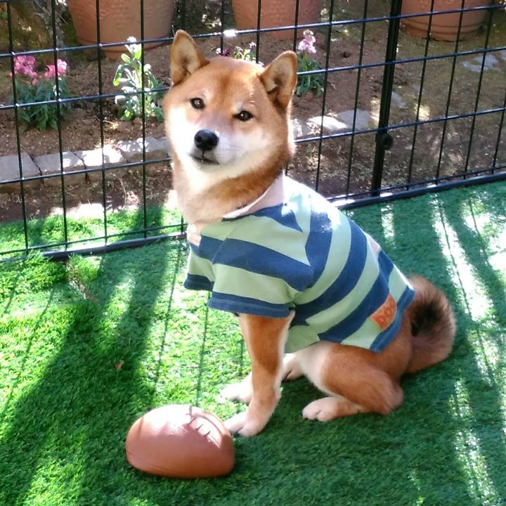 Feb5eb9d 0aa7 4d7d 8d96 b4df7f8aebc2 1515731572651