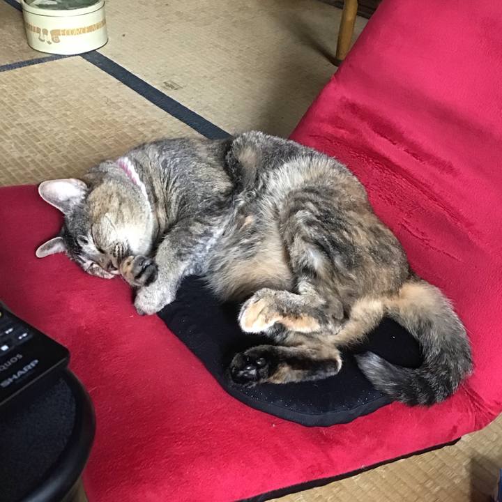 Feb64a0b 16c1 4f5a 946d 6f4deec9a876 1720577322288