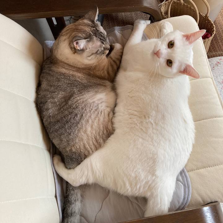 Feb65035 2afa 47b0 baac 80f2dfa91961 1657765600173