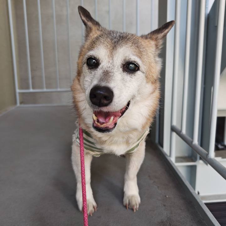 Feb67b2f b5de 43b2 9a7e e2ab1bae9cf3 1769043946318