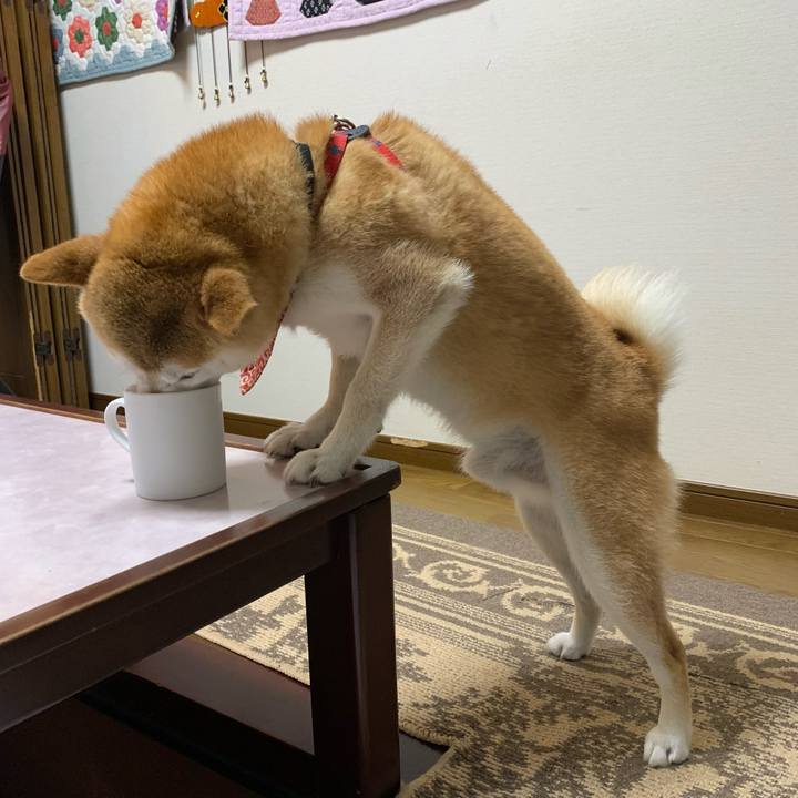 Feb68126 faff 43ec acbc 4c6a1f4e84f2 1659517350142