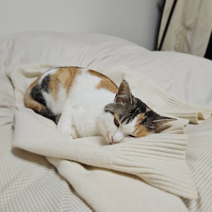 Feb6944b 140b 4e49 84d9 bea94193641f 1768204741761