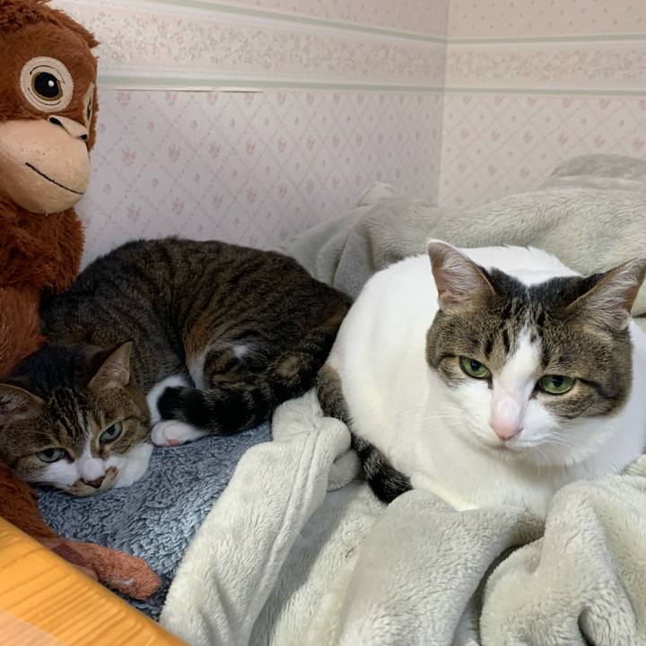 Feb69983 b439 481d aeb9 90db7105f6ae 1638309326336