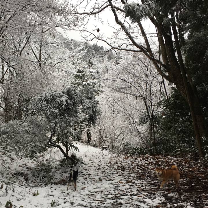 Feb6a933 3ee1 4400 a04b 68014810ab42 1548569634124