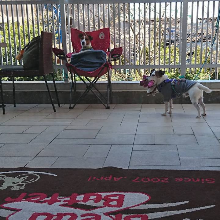 Feb6bc7e 4a27 41a4 93cd 153074adb3a9 1615784034286