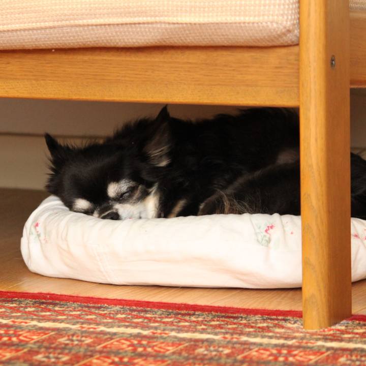 Feb6daf6 dee5 4936 8808 d261abb8bd69 1538836336071