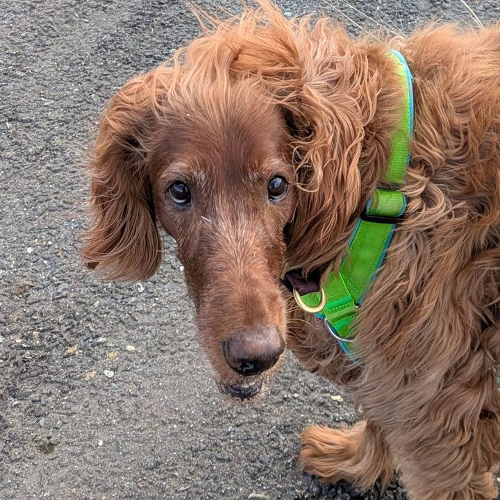 Feb7068a dcb7 419a 8999 ea6d3b7c6e1a 1770025657059