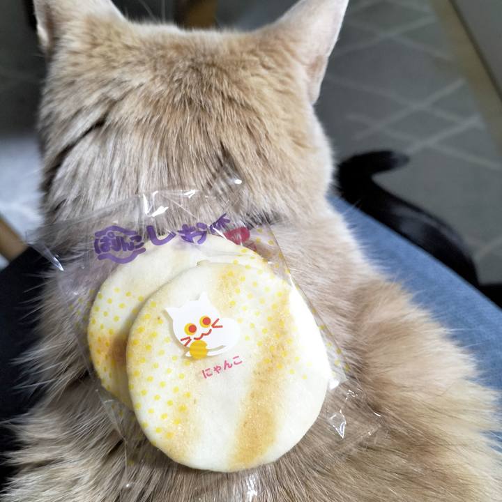 Feb7091e b876 47cc a00e 253bc4d98b4f 1710330951258