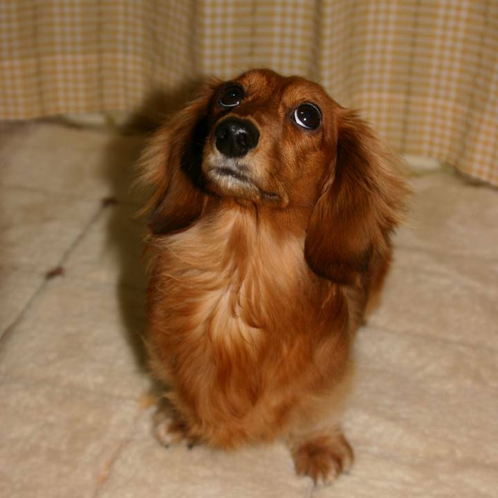 Feb71203 348f 4e06 a6d9 8c5191f7ed66 1579806812795