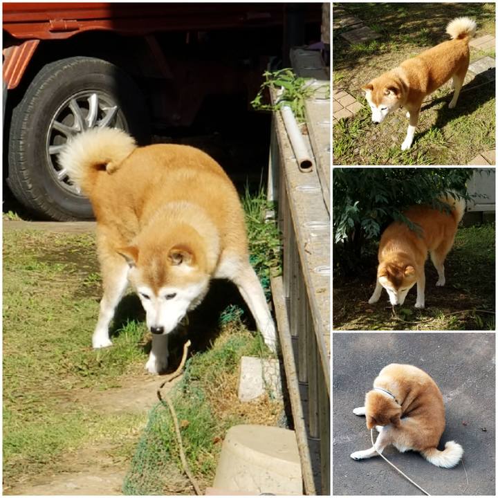 Feb716cf de9e 4193 af33 d3f66f256735 1661727481060