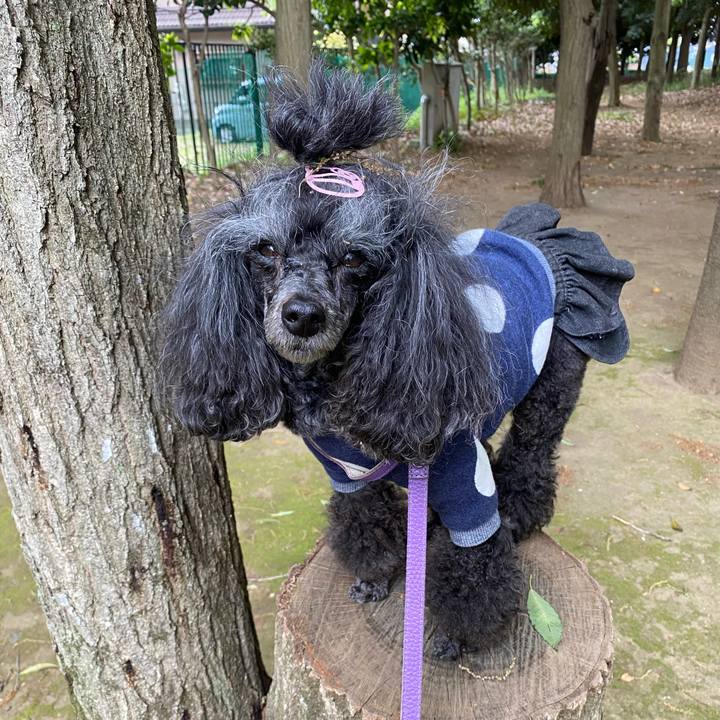 Feb747b7 998c 4544 9fea 462e38f4bdd4 1713736200012