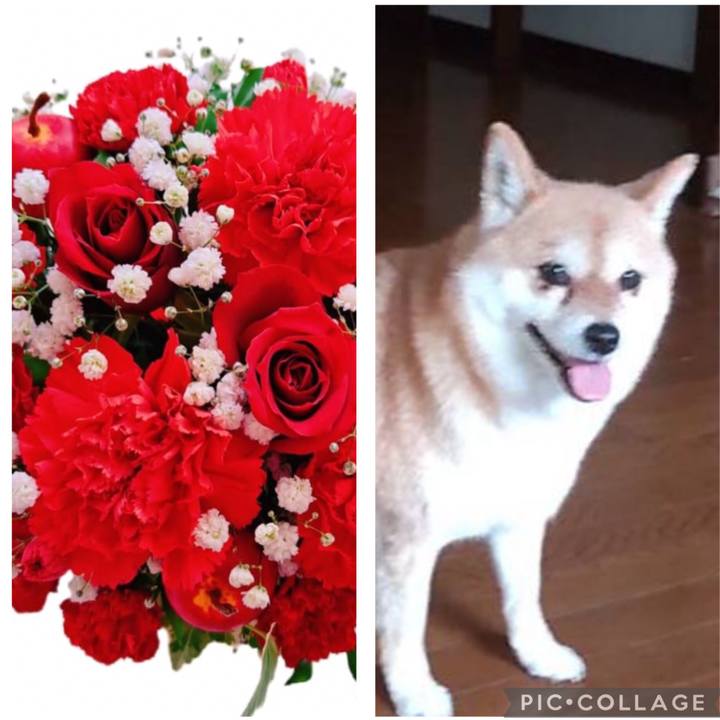Feb78468 418c 4ec0 ab74 7270ce43c839 1754200279754