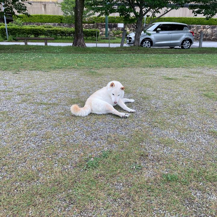 Feb7877f 6ea1 4bc5 835b d1fca0fb31d7 1652279654670