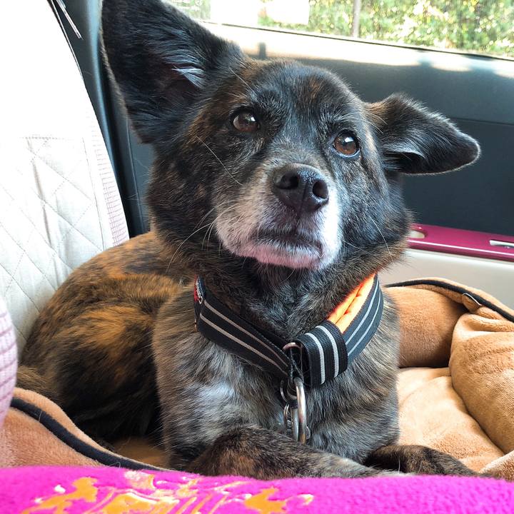 Feb79aea 38ac 4ceb 83b1 21f2c1e7c600 1592277600308