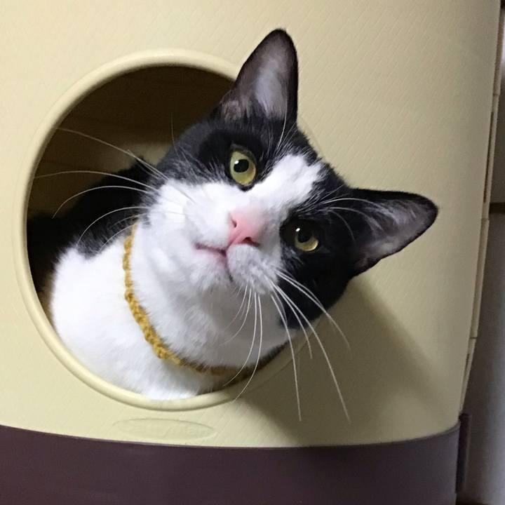 Feb7ad48 7c80 4858 9145 810f0091eb2f 1646043022237