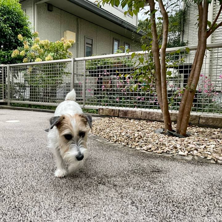 Feb7bb85 b58c 4ecf b963 01cab0c80053 1665312751656