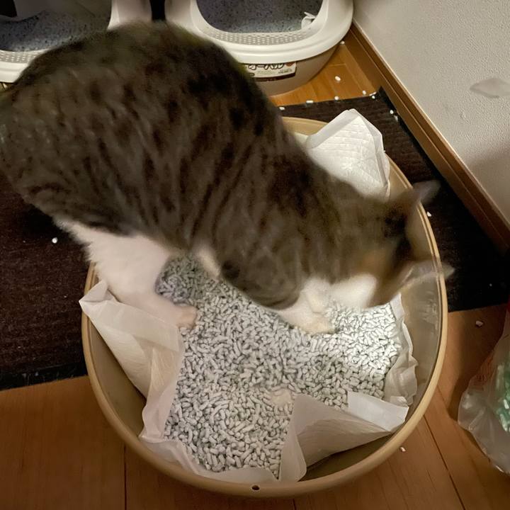 Feb7d7d4 8b6e 4468 95e3 bcd8602480cd 1739998689876