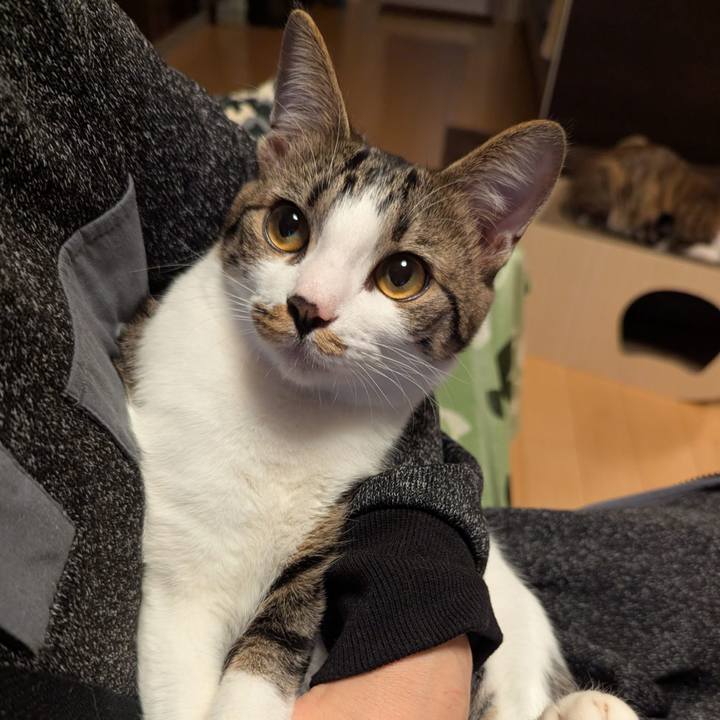 Feb7d8ba 2293 47d5 8546 7a19fdebb6be 1737872391971