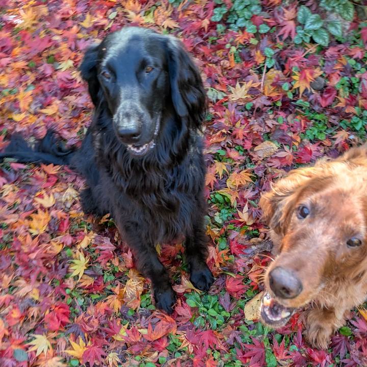 Feb826e6 b7e3 43f7 a7ad 8f52c8ede3c7 1763123265180